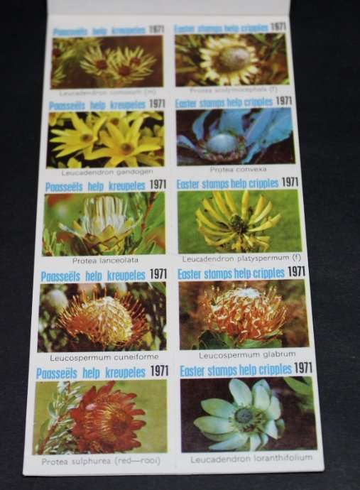 South Africa 1c 1971 Stamp Booklet Easter Stamps Help Cripples