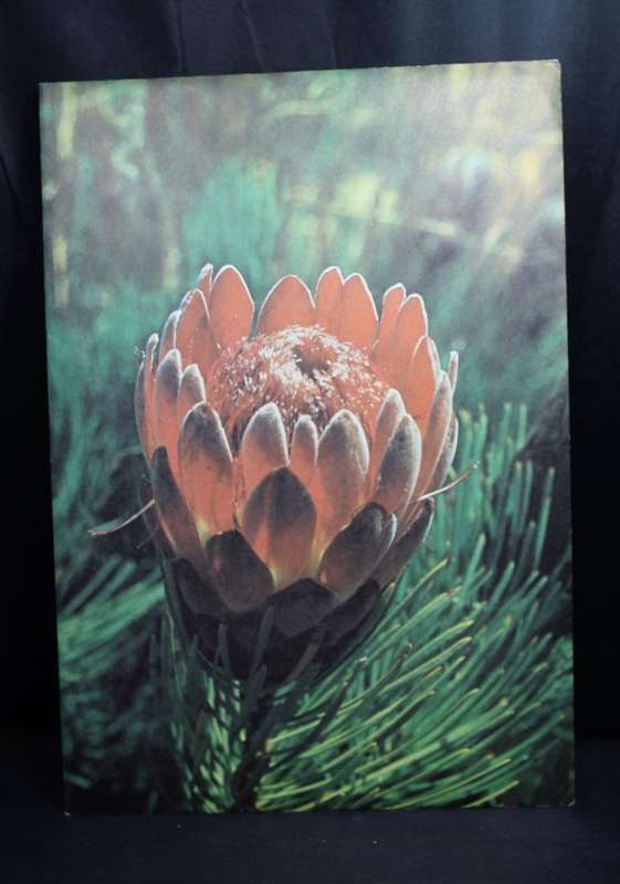Third Definitive Series Dick Findlay 1977, Stamps, South Africa