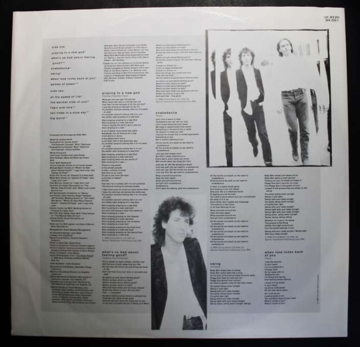 Wang Chung The Warmer Side Of Cool Vinyl LP