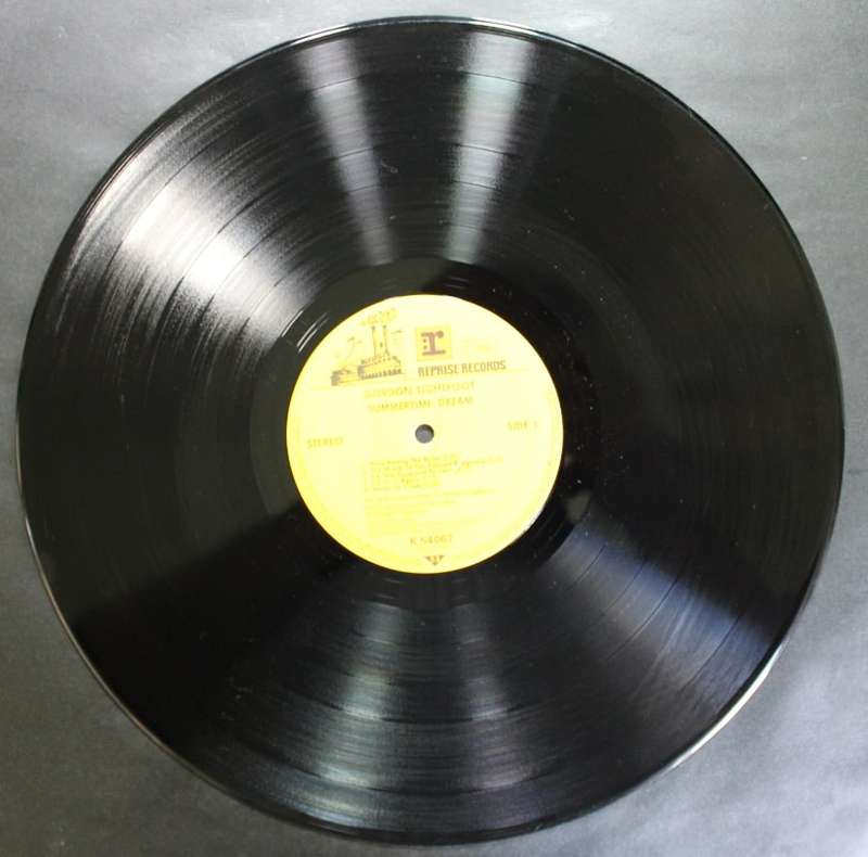 Gordon Lightfoot Summertime Dream Vinyl LP