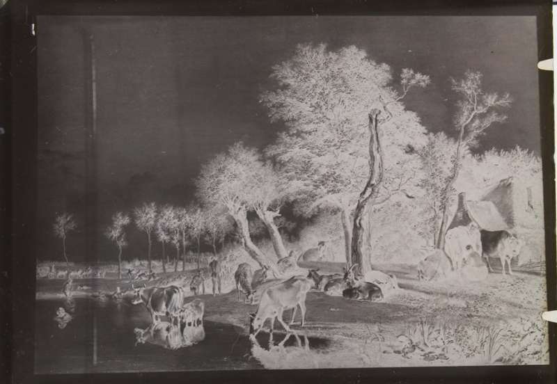 Pastoral Scene on Glass Plate Negative.