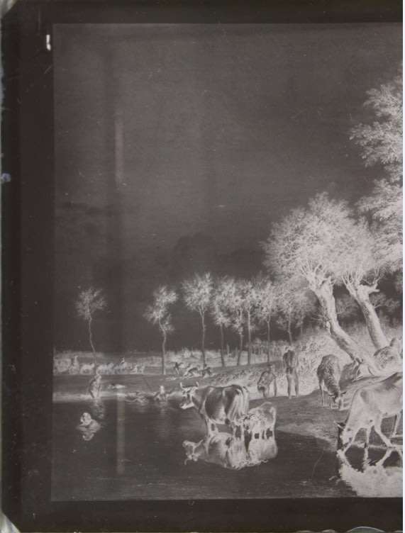 Pastoral Scene on Glass Plate Negative.