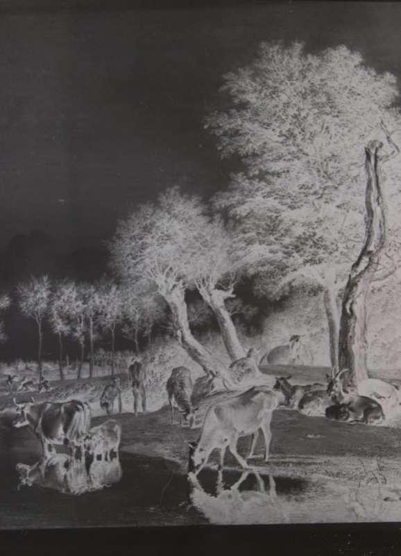 Pastoral Scene on Glass Plate Negative.