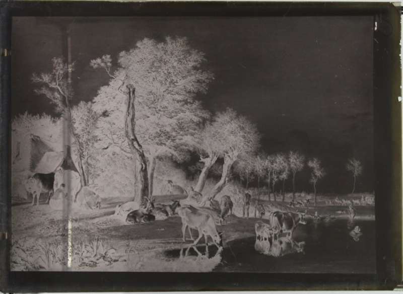 Pastoral Scene on Glass Plate Negative.