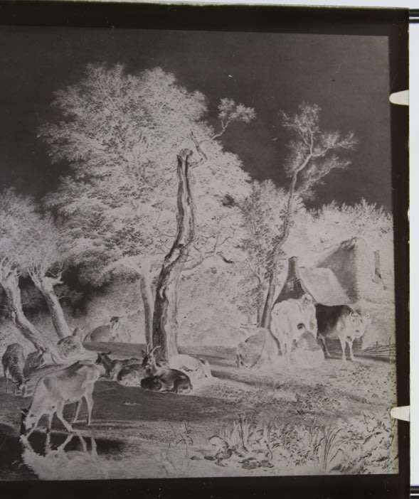 Pastoral Scene on Glass Plate Negative.