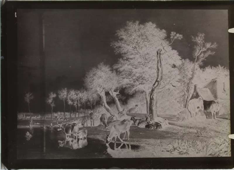 Pastoral Scene on Glass Plate Negative.
