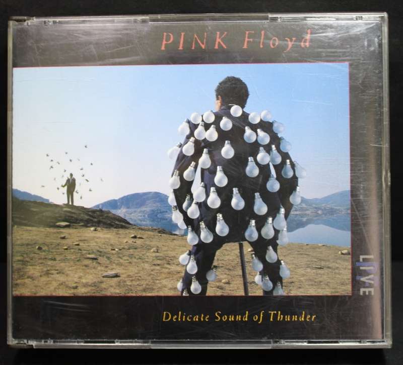 Pink Floyd Delicate Sound Of Thunder Live Double CD