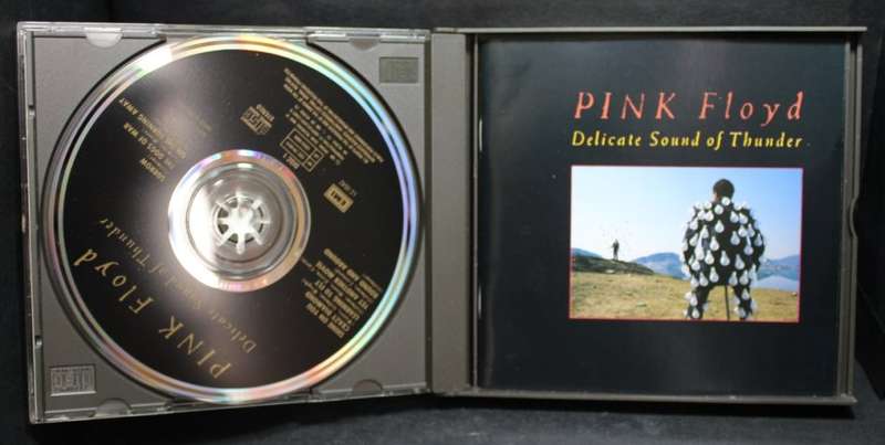 Pink Floyd Delicate Sound Of Thunder Live Double CD