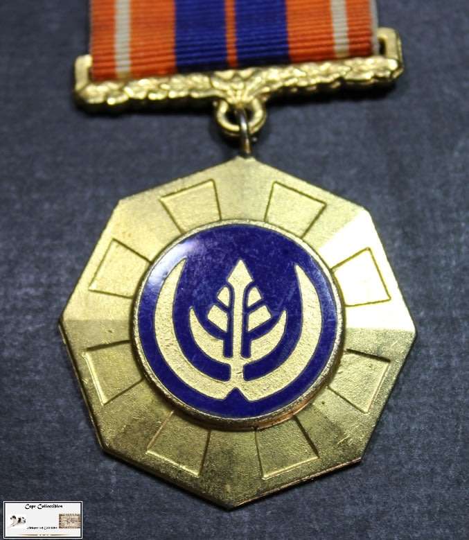 SADF Pro Patria Medal Number 21946.