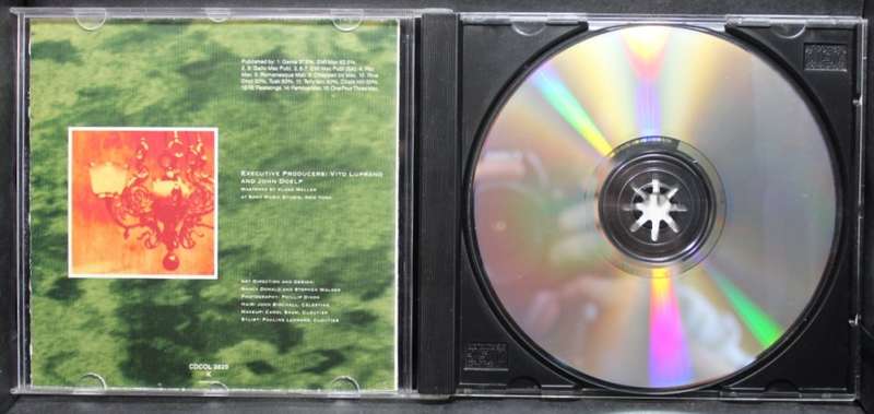 Celine Dion The Colour Of My Love CD