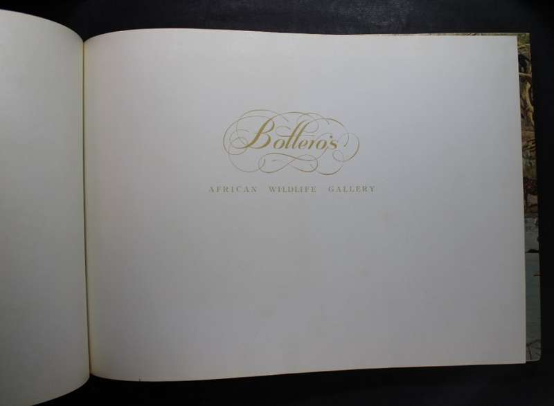 Bottero`s African Wildlife Gallery Hardcover Book
