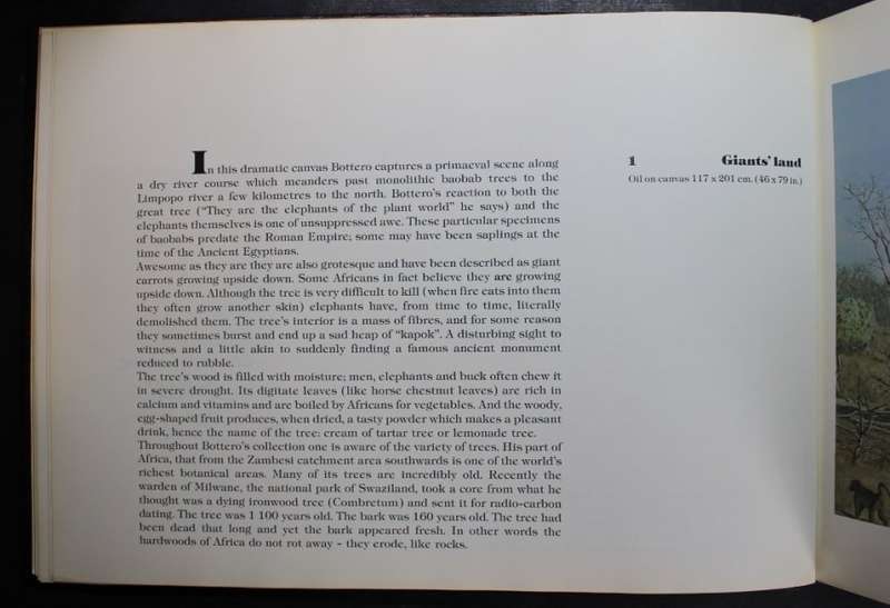 Bottero`s African Wildlife Gallery Hardcover Book