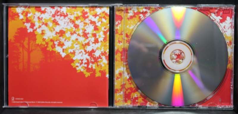 Counting Crows Films about Ghosts The Best Of CD.