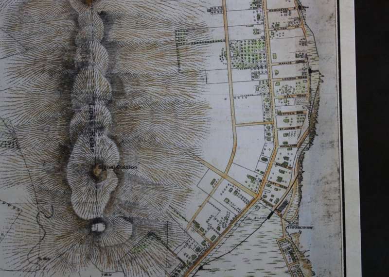 Map Of Cape Town 1884 Poster Print