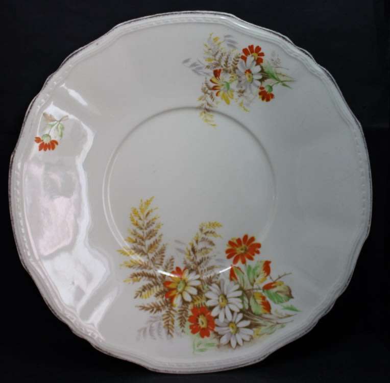 Alfred Meakin Daisy and Fern `Ferndale` Pattern Decorative Wall Plate