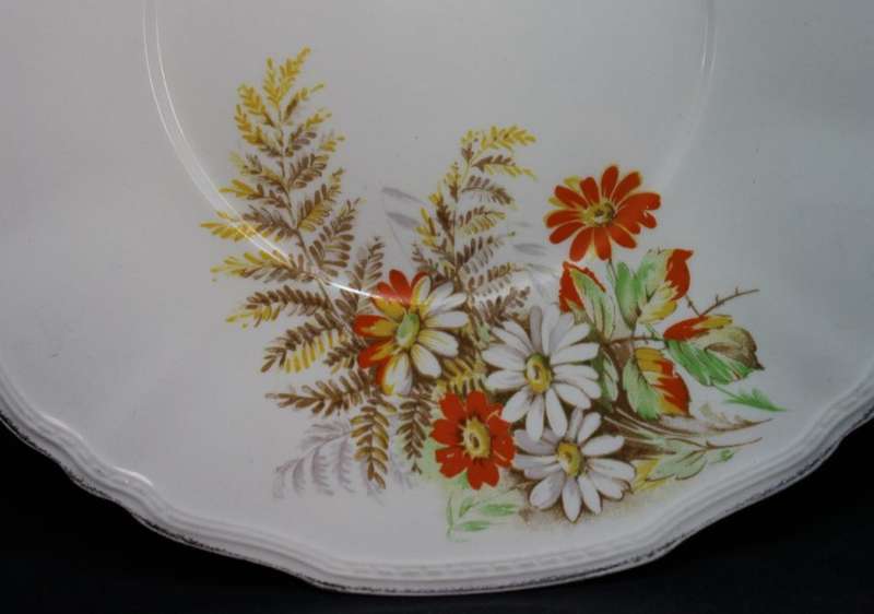 Alfred Meakin Daisy and Fern `Ferndale` Pattern Decorative Wall Plate