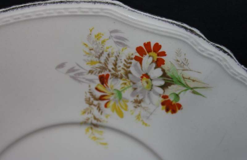 Alfred Meakin Daisy and Fern `Ferndale` Pattern Decorative Wall Plate
