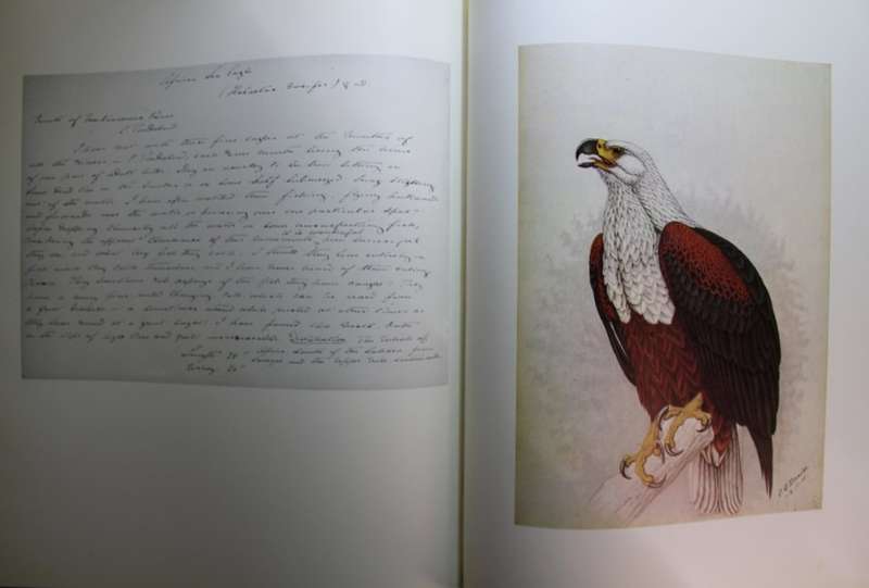 The Biography of Claude Gibney Finch-Davies 1875-1920 by A.C Kemp.