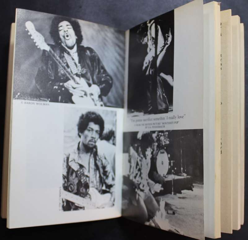 `Scuse Me While I Kiss The Sky The Life Of Jimi Hendrix by David Henderson Softcover Book