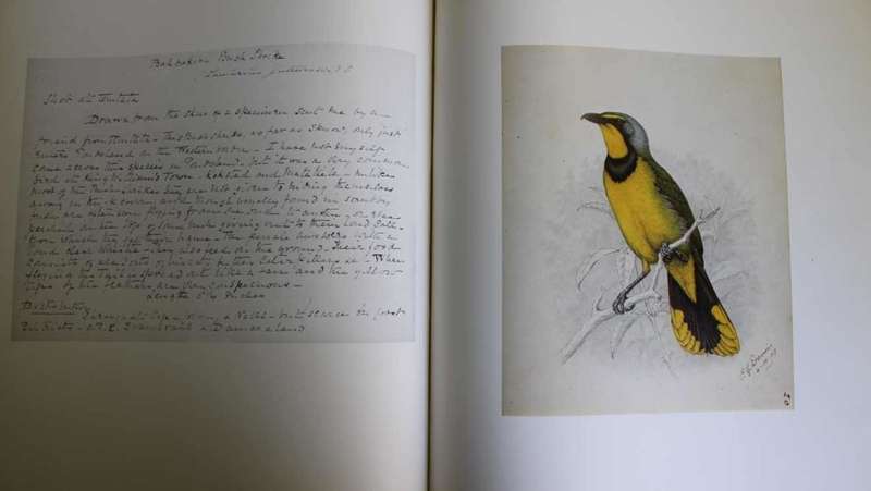 The Biography of Claude Gibney Finch-Davies 1875-1920 by A.C Kemp.