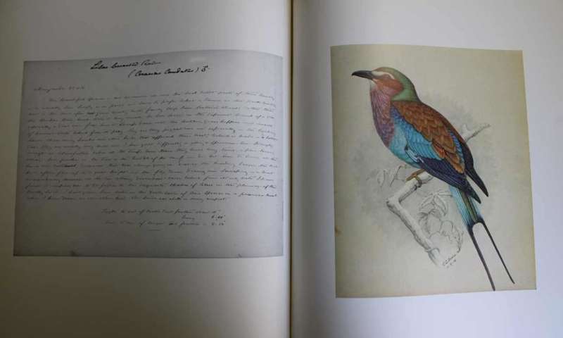 The Biography of Claude Gibney Finch-Davies 1875-1920 by A.C Kemp.