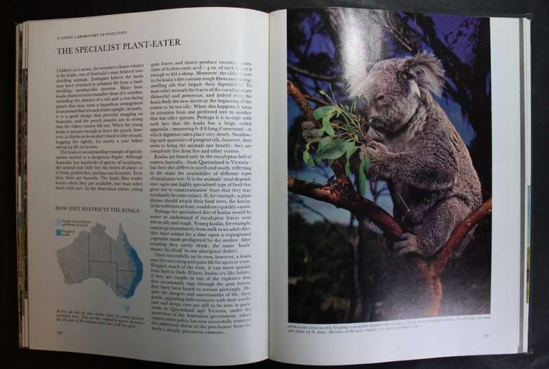 Readers Digest Fascinating Secrets of Oceans and Islands Foreword by Jacques Cousteau.