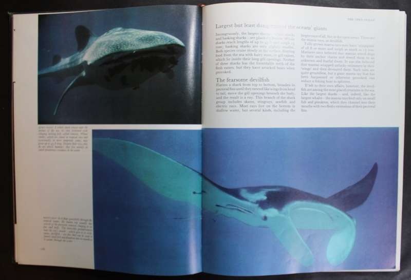 Readers Digest Fascinating Secrets of Oceans and Islands Foreword by Jacques Cousteau.