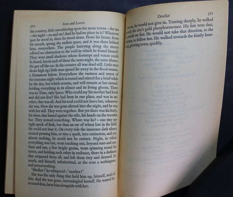 Sons and Lovers by D H Lawrence, Softcover Book