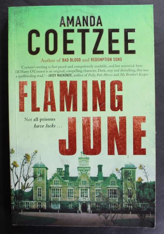 Flaming June by Amanda Coetzee, Softcover Book