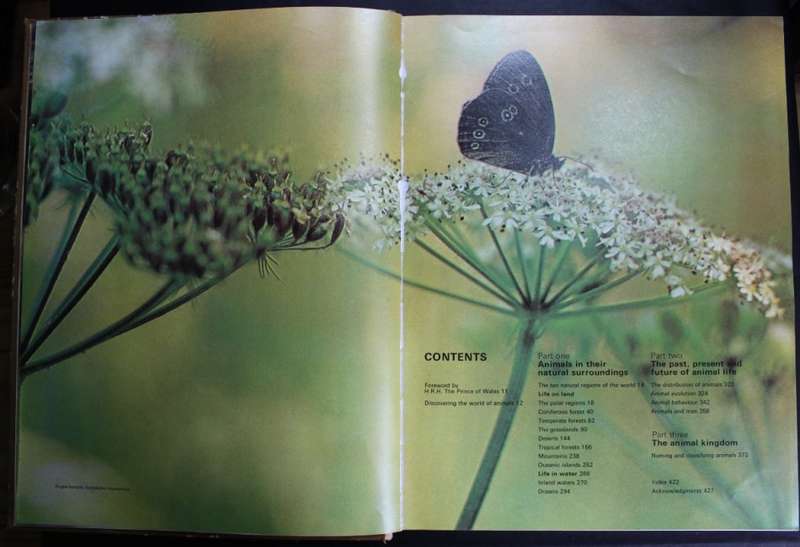 The Living World of Animals Hardcover Book by Readers Digest, 1st Edition