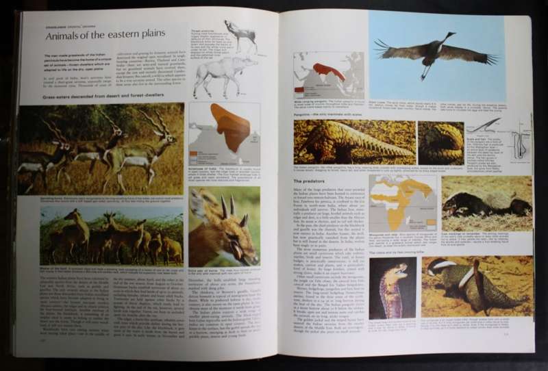 The Living World of Animals Hardcover Book by Readers Digest, 1st Edition