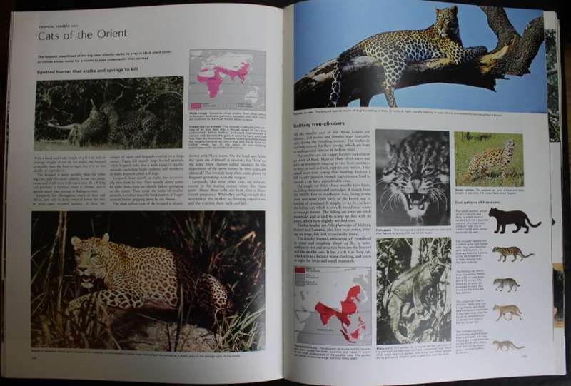 The Living World of Animals Hardcover Book by Readers Digest, 1st Edition