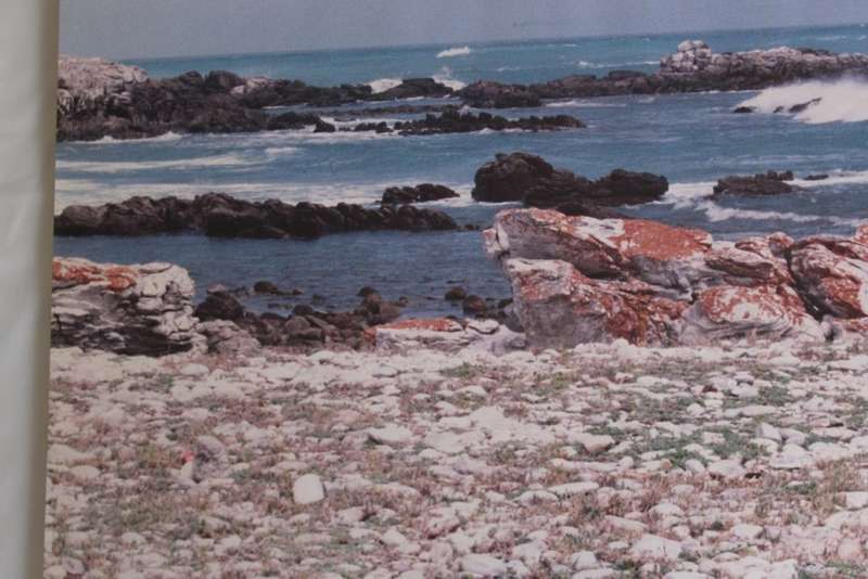 Cape Agulhas, Southern Tip Of Africa Large Framed Colour Photograph
