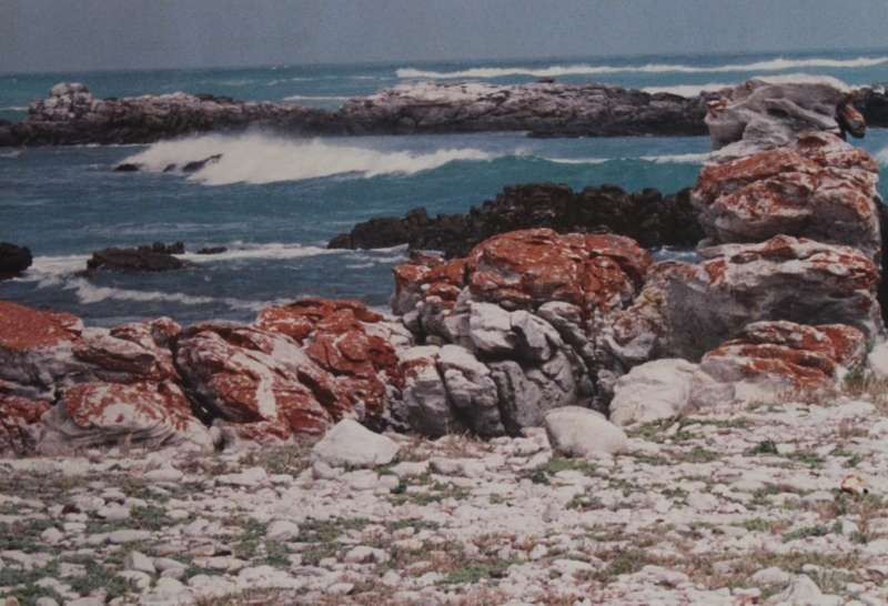 Cape Agulhas, Southern Tip Of Africa Large Framed Colour Photograph