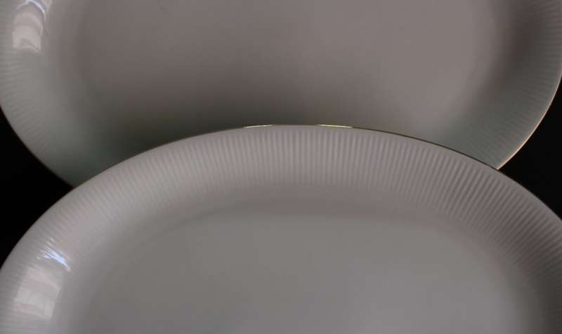Two Elegant Royal Bavaria Wunsiedel Serving Plates from Germany