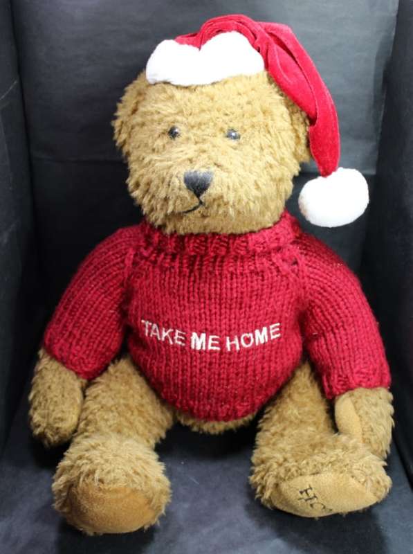 Take Me Home Teddy Bear with Knitted Jumper and a Red Cap