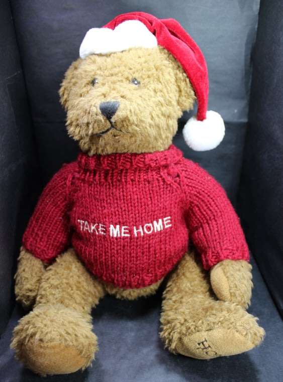 Take Me Home Teddy Bear with Knitted Jumper and a Red Cap