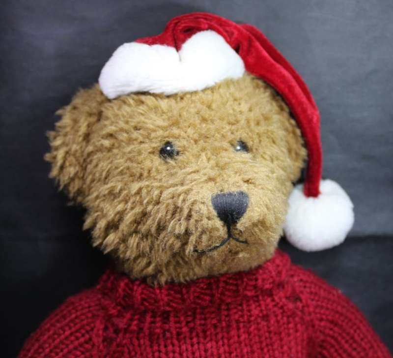 Take Me Home Teddy Bear with Knitted Jumper and a Red Cap