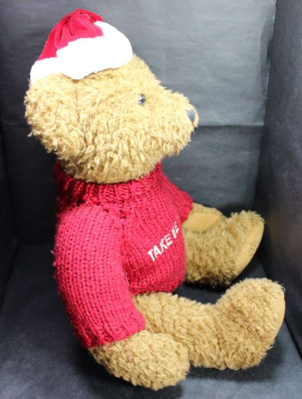Take Me Home Teddy Bear with Knitted Jumper and a Red Cap