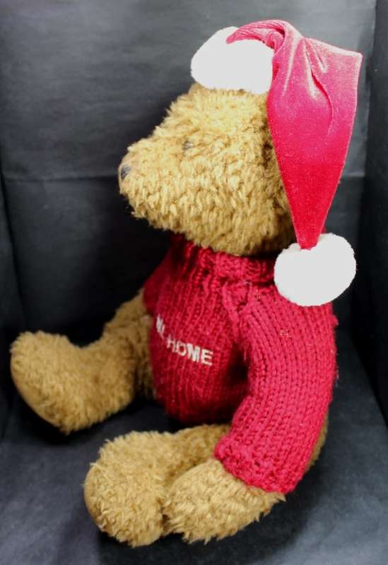 Take Me Home Teddy Bear with Knitted Jumper and a Red Cap