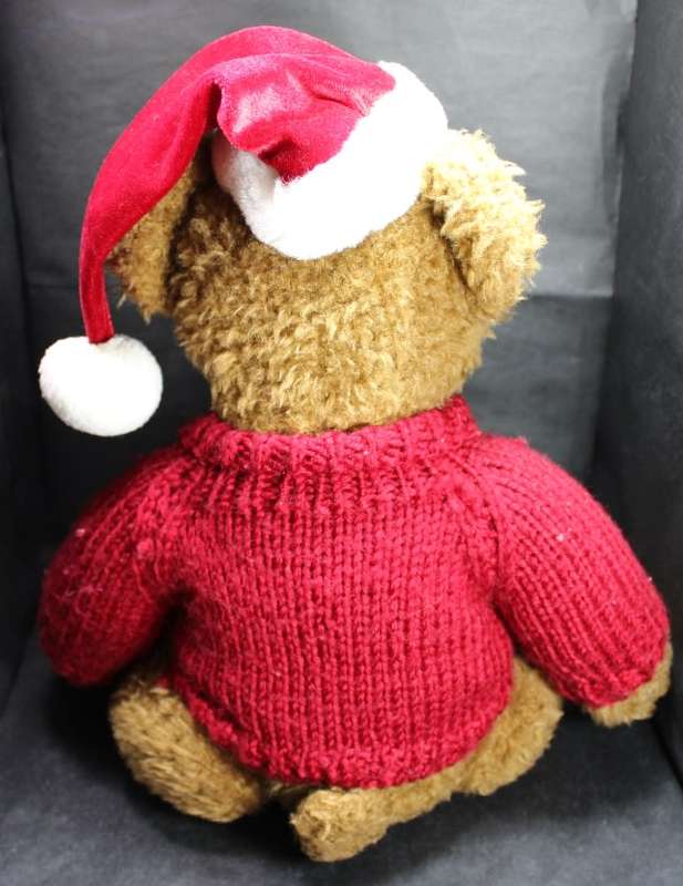 Take Me Home Teddy Bear with Knitted Jumper and a Red Cap