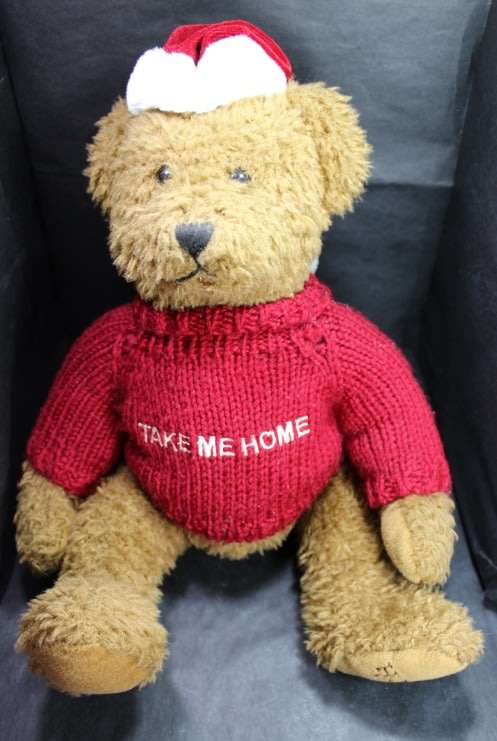 Take Me Home Teddy Bear with Knitted Jumper and a Red Cap