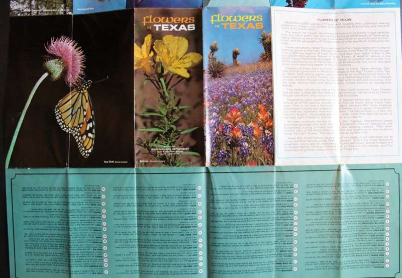 Vintage Flowers of Texas Folded Poster from Texas Highway Department