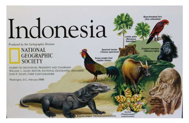 National Geographic Folded Map of Indonesia February 1996