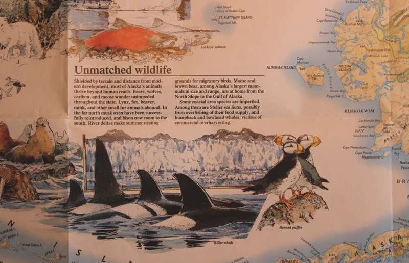 National Geographic Folded Map of Alaska May 1994