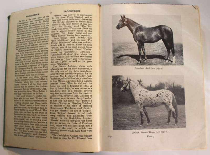Summerhays Encyclopaedia For Horsemen 1959 Hardcover Book