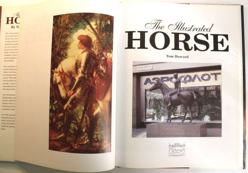 The Illustrated Horse by Tom Howard Hardcover Boo
