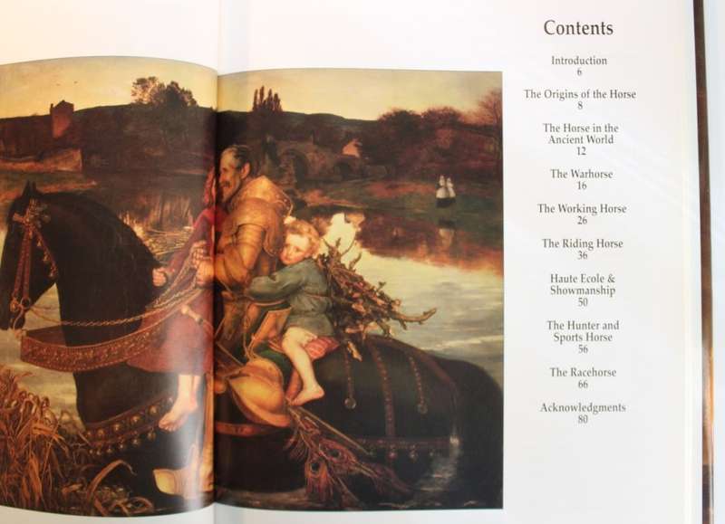 The Illustrated Horse by Tom Howard Hardcover Boo