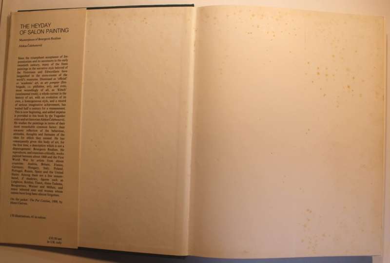 The Heyday of Salon Painting by Aleksa Celebonovic 1974 First Edition Hardcover Book