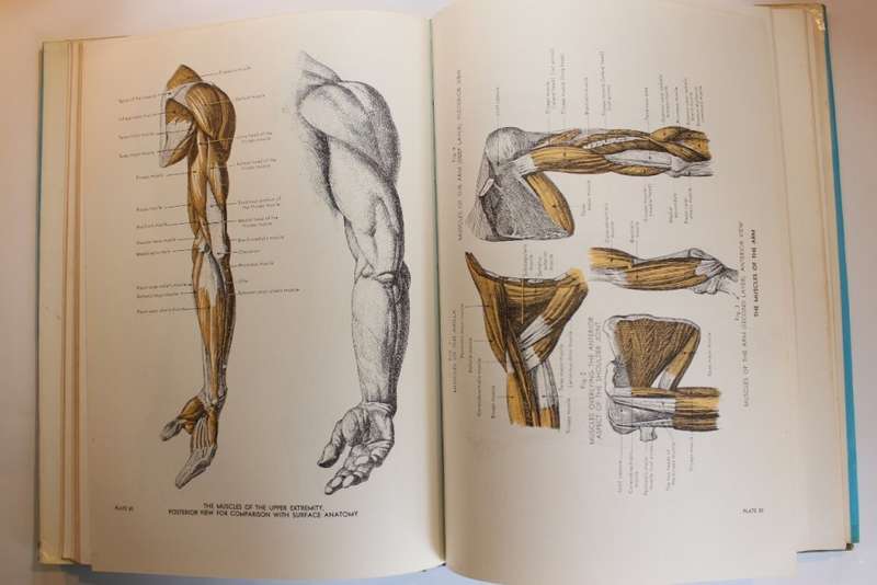 Atlas Of Anatomy for the Artist Set of 2 x Hard and Softcover Books
